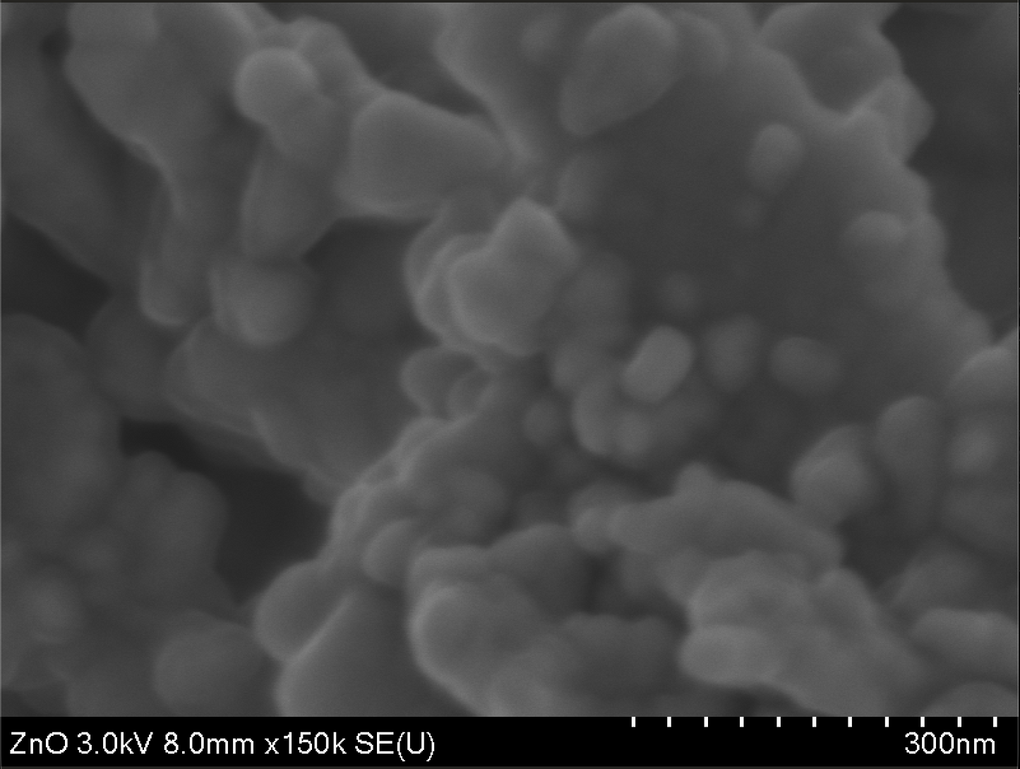 Óxido de Zinc Morfología Esférica Nanopartícula (ZnO NPs)