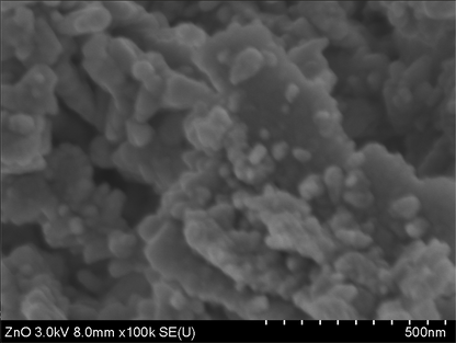 Óxido de Zinc Morfología Esférica Nanopartícula (ZnO NPs)