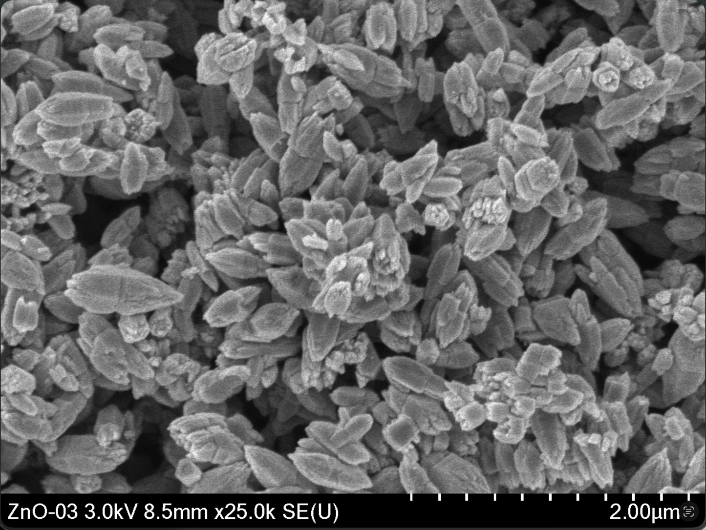 Óxido de Zinc Morfología Flower Nanopartícula (ZnO NPs)